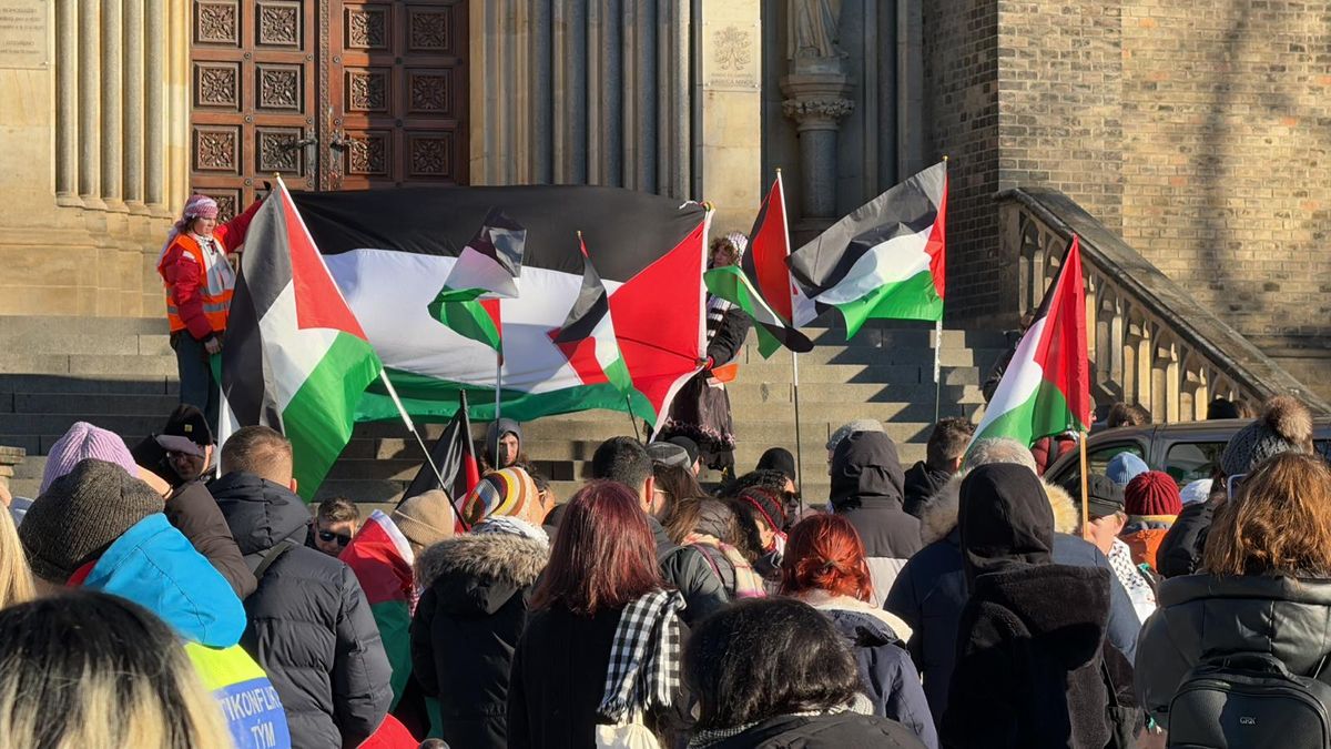 Stovky lidí přišly protestovat proti postoji vlády k izraelským útokům v Gaze
